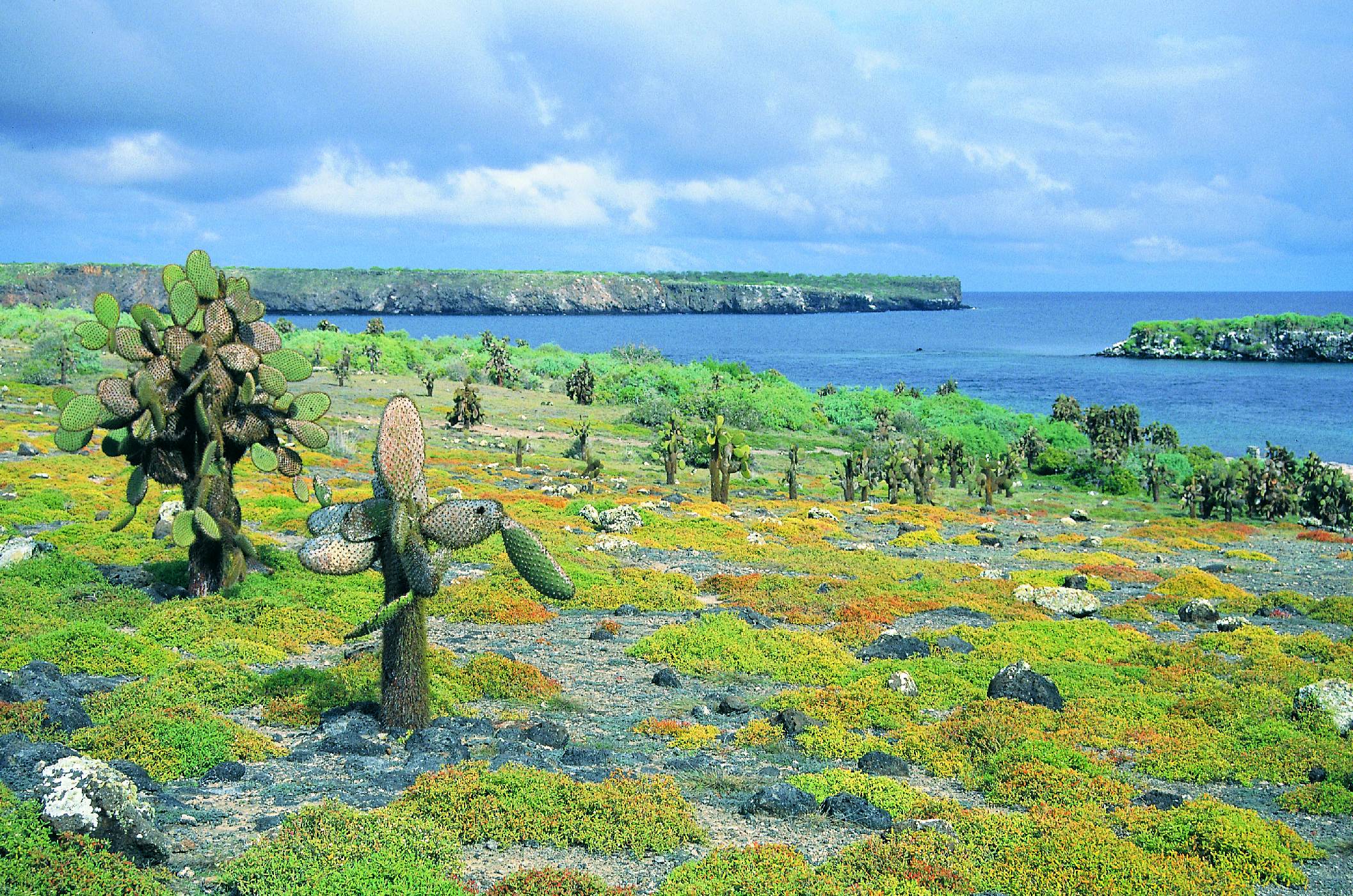 Barvy Galapág - 