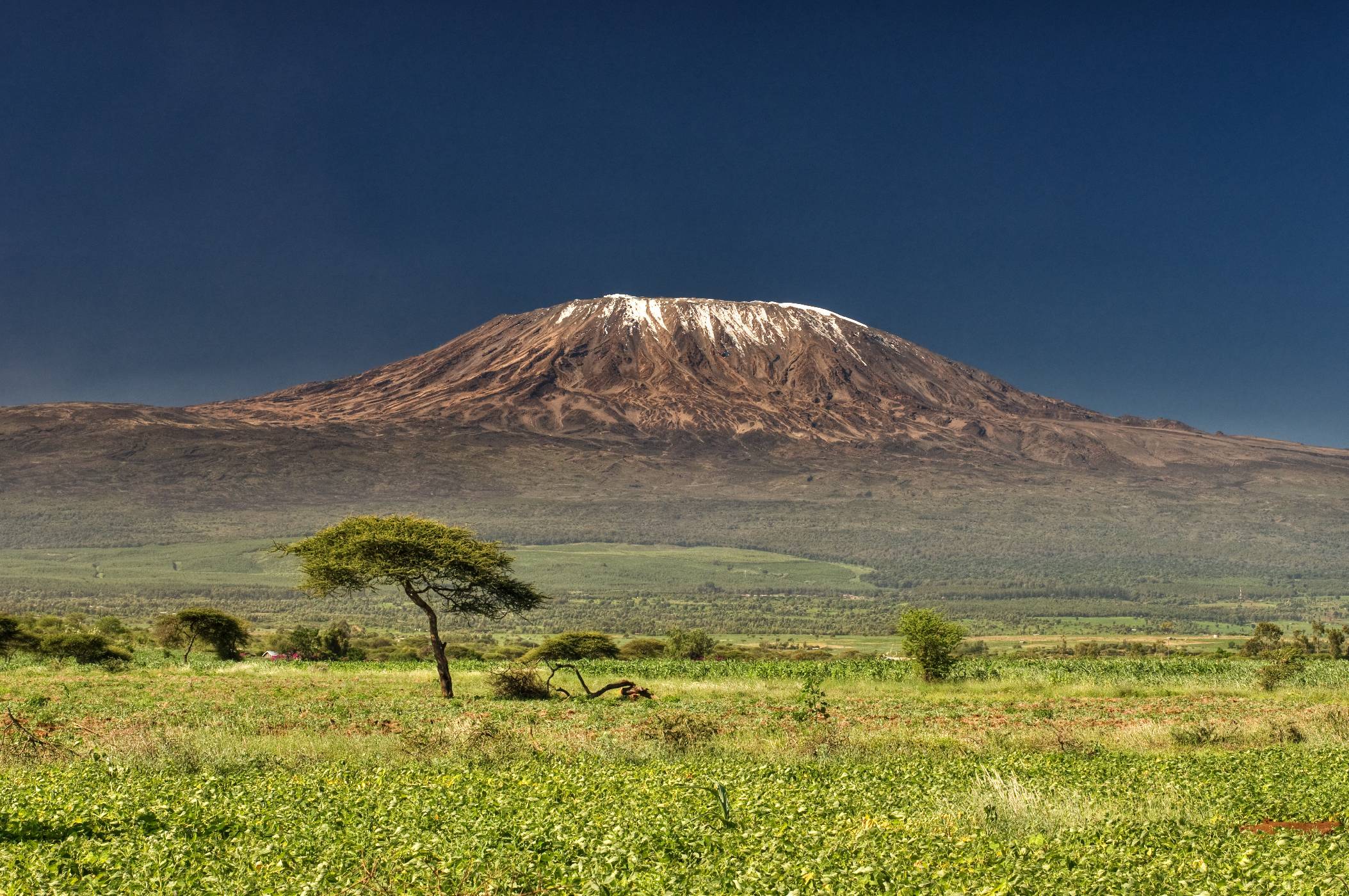 Osamělá hora - Kilimandžáro, jak jej při výstupu po jeho svazích, ani z bezprostřední blízkosti měst Arusha nebo Moshi, neuvidíte (Foto: Shutterstock)