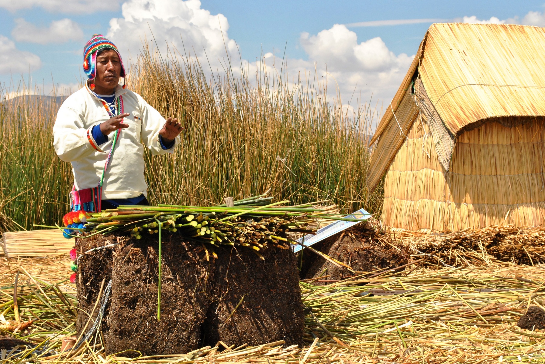 Titicaca -<p>„Titicaca“ znamená v kečuánštině, jednom ze dvou hlavních jazyků peruánských indiánů, „skála pumy“. V jazyce Ajmarů se slovem „titi“ označuje buď puma, olovo nebo obecně těžký kov, zatímco „caca“ znamená „trhlina“ nebo „štěrbina“.</p>