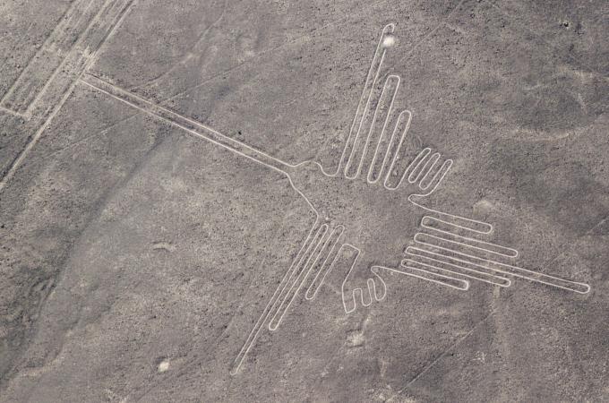 Obrazce Nazca