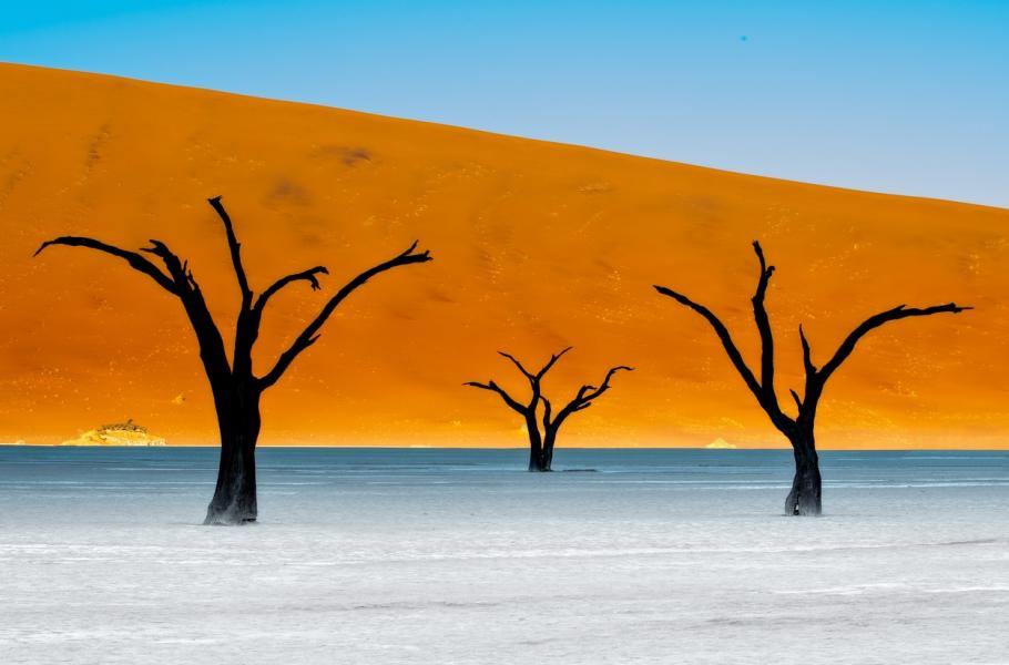 Deadvlei (Mrtvé údolí)