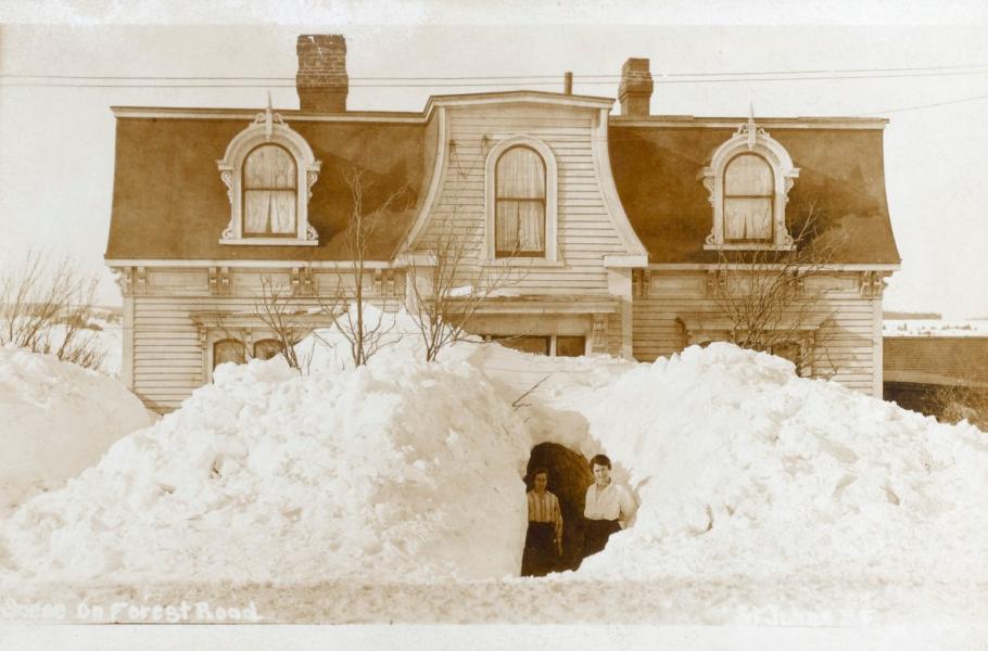 1930 | Newfoundland