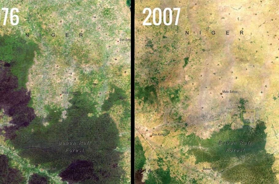Odlesňování v Nigérii