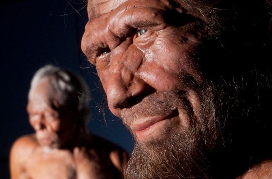 Dozvuky minulosti: Jak vymřelí neandertálci ovlivňují lidské geny | 100 ...