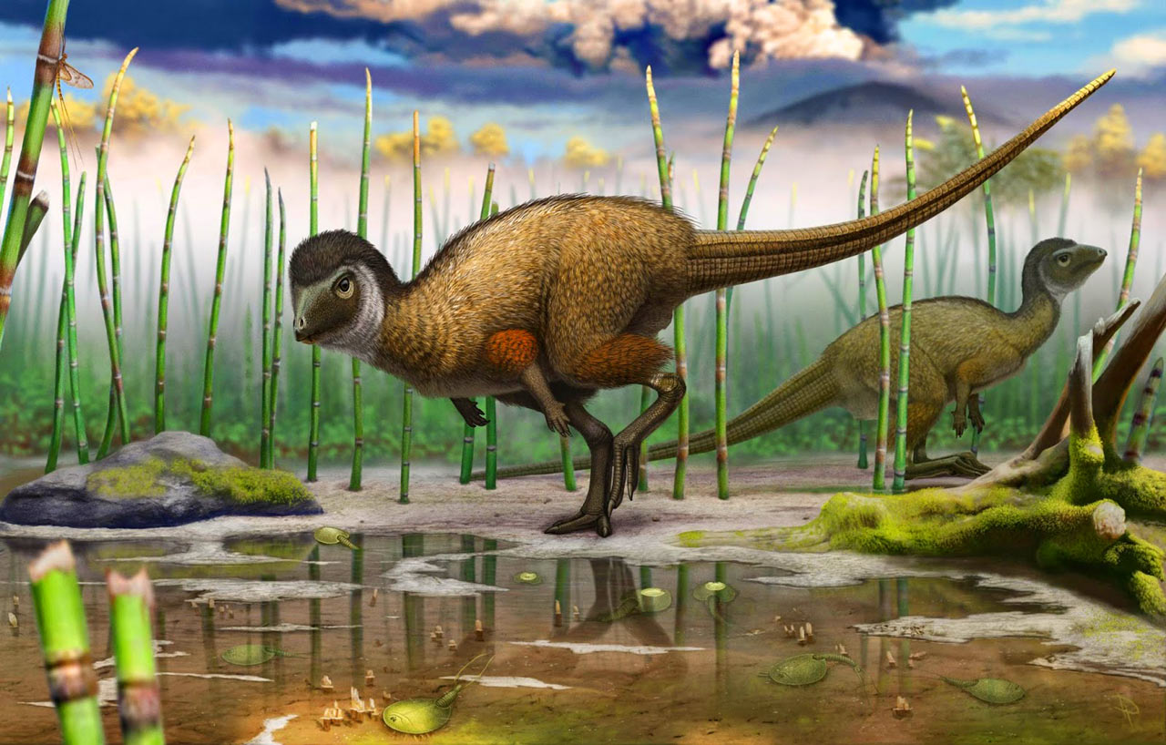 Nálezy fosilií rodu Kulindadromeus zabaikalicus nás zřejmě donutí přehodnotit dosavadní představy o podobě některých dinosaurů.