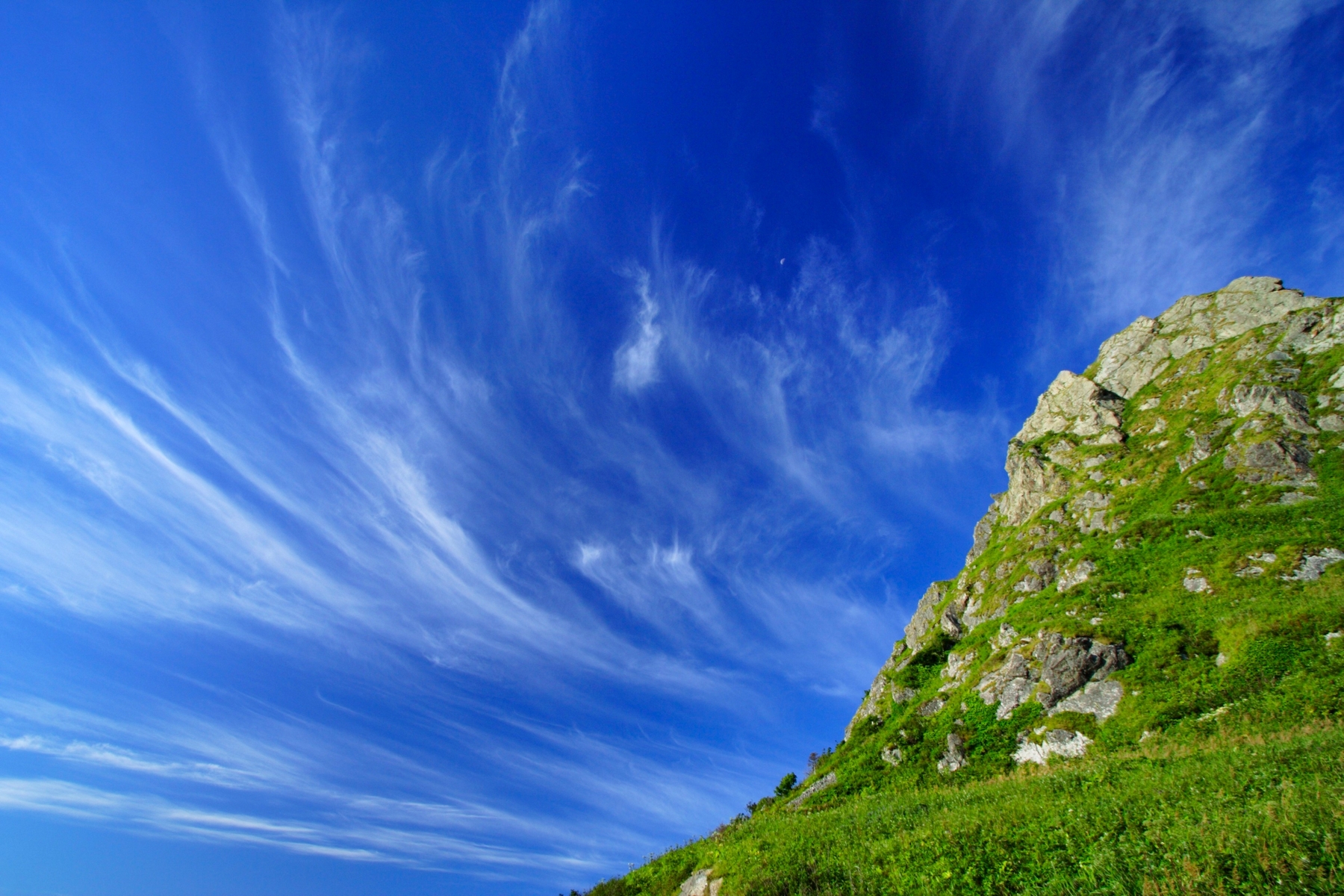 <h3>Chmýří bájných ptáků </h3><p><strong>Cirrus</strong> neboli řasa patří mezi nejobvyklejší typy oblačnosti. Obzvláště fotogenická je varianta <strong>cirrus fibratus</strong> <em>(něco jako vláknitá řasa)</em>, jejíž jemná vlákna vodních par vytvářejí na obloze všemožné závoje, krajky, tahy štětcem nebo – chcete-li – stopy letu neviditelných opeřenců.</p>