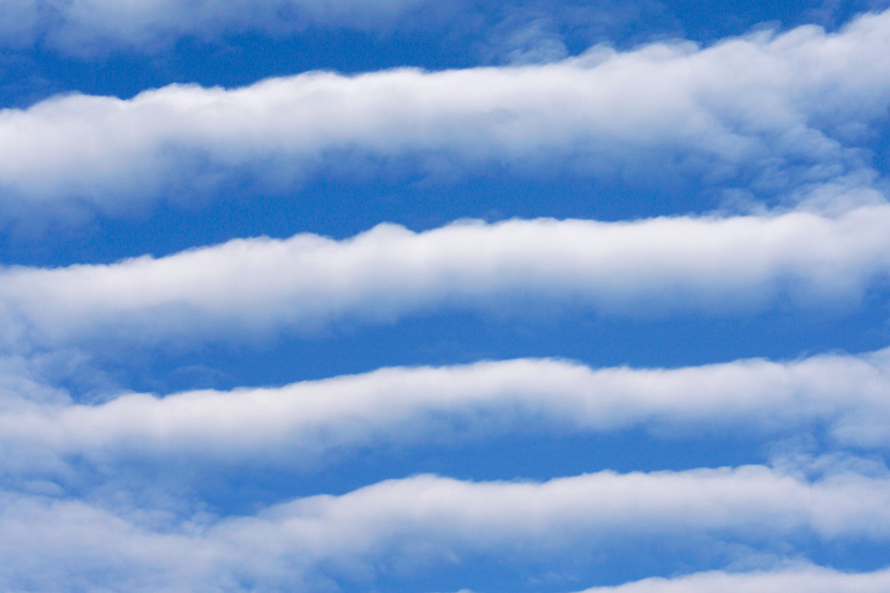 <h3>Řada beránků  </h3><p>Mraku <strong>altocumulus</strong> se česky říká vyvýšená kupa a na obloze většinou dělá známé „beránky“. Pokud se setká s vhodnými turbulencemi, mohou se beránci seřadit i takto pravidelně. Milovníci konspirací to opět připisují vlnám systému HAARP, meteorologové ovšem tento typ oblačnosti znají už dlouho pod pojmem altocumulus undulatus. </p>