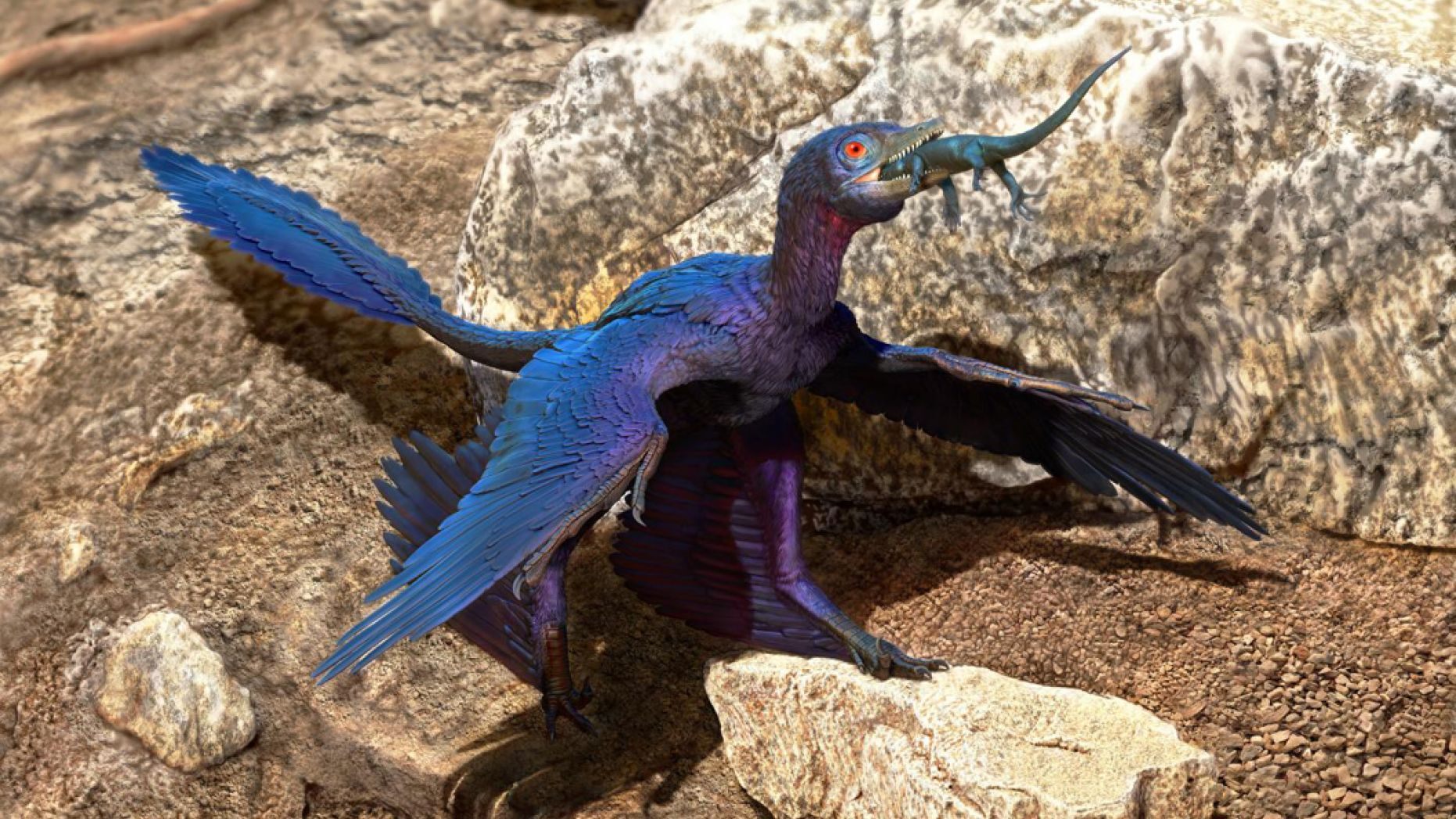 <p>Mikroraptor s ulovenou ještěrkou <em>Indrasaurus wangi.</em></p>