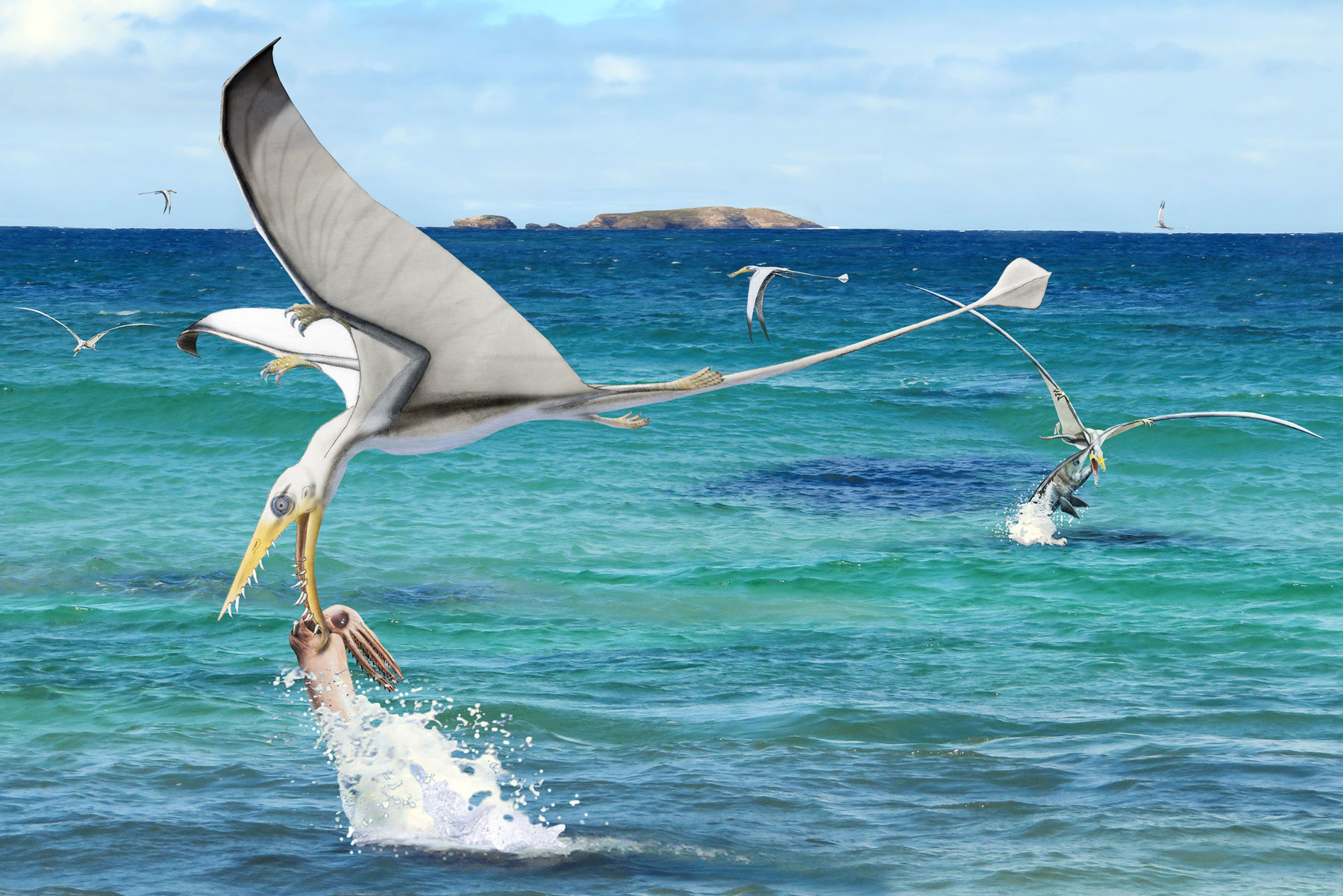 <p>Pteroauři Rhamphorhynchus muensteri na lovu hlavonožců</p>