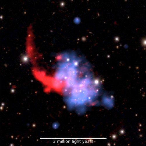 <p>Kupa galaxií PSZ2 G091.83+26.11. Modře rentgenové záření žhavého plynu, červeně rádiové záření extrémně urychlených částic.</p>