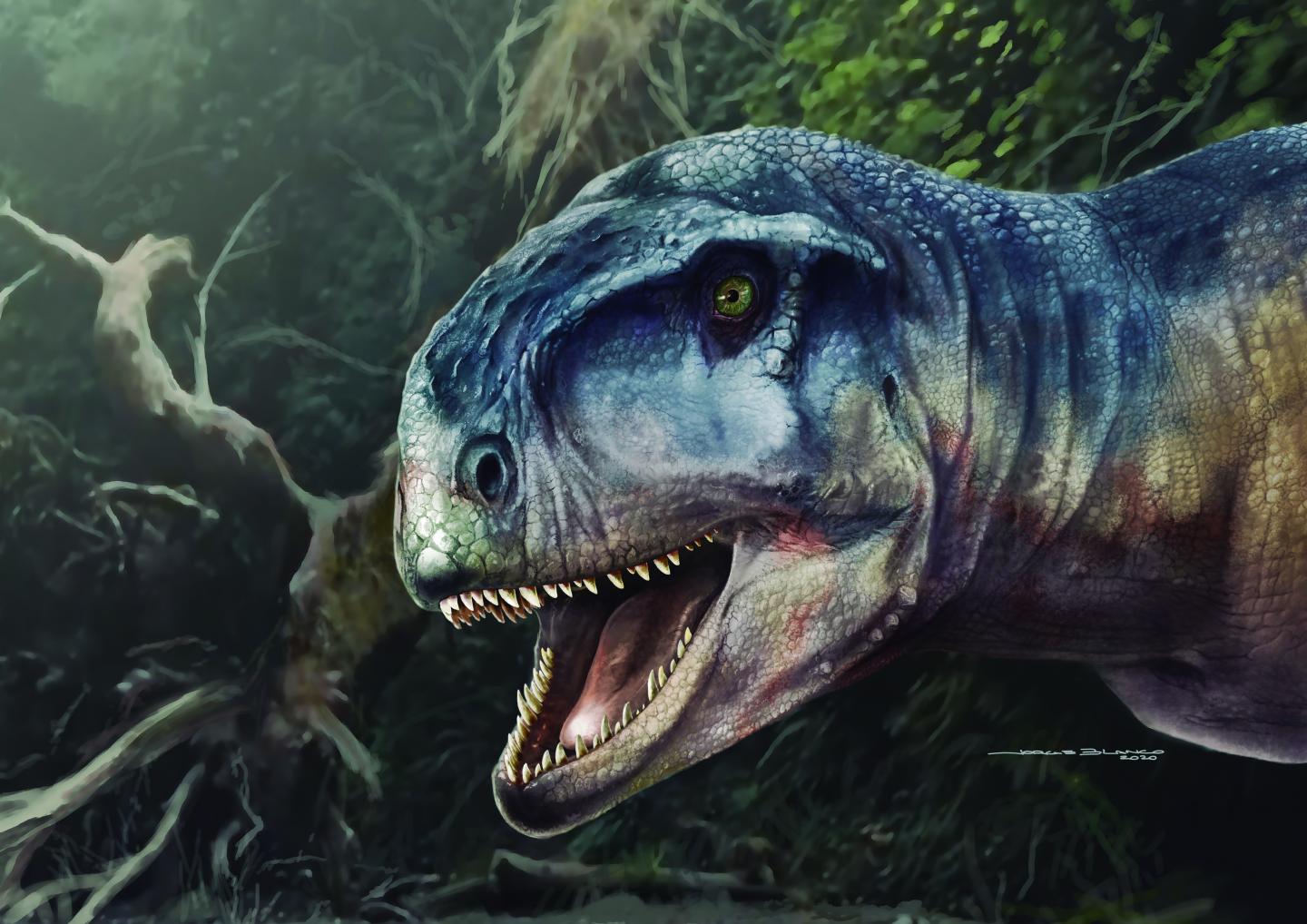 <p>Lítý predátor <em><strong>Llukalkan aliocranianus</strong></em> řádil před 80 miliony let na jižní polokouli v oblasti dnešní argentinské Patagonie.</p>