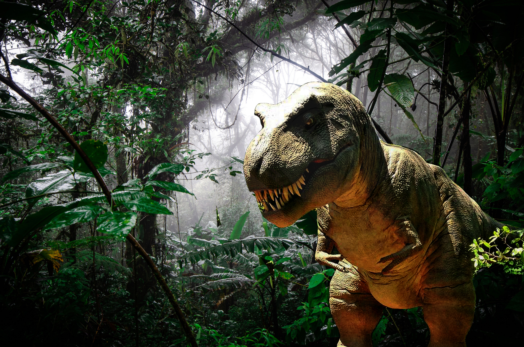 <p>Na konci křídy i celých druhohor vymřeli velcí dinosauři a spolu s nimi mnoho dalších skupin živočichů i rostlin. Katastrofa ale zřejmě umožnila rozmach deštných pralesů.</p>