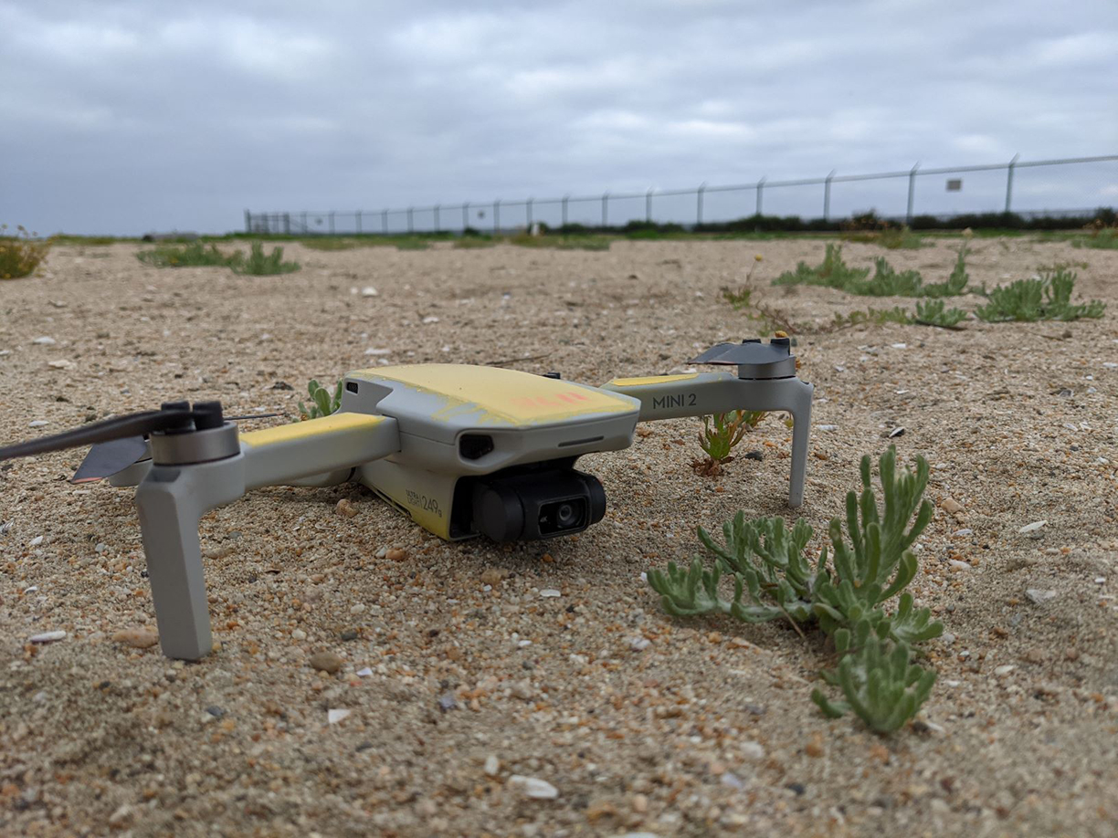 <p>Zřícený dron na Bolsa Chica. Kvůli jeho havárii zřejmě zahynula prakticky celá budoucí generace zdejších rybáků západních.</p>