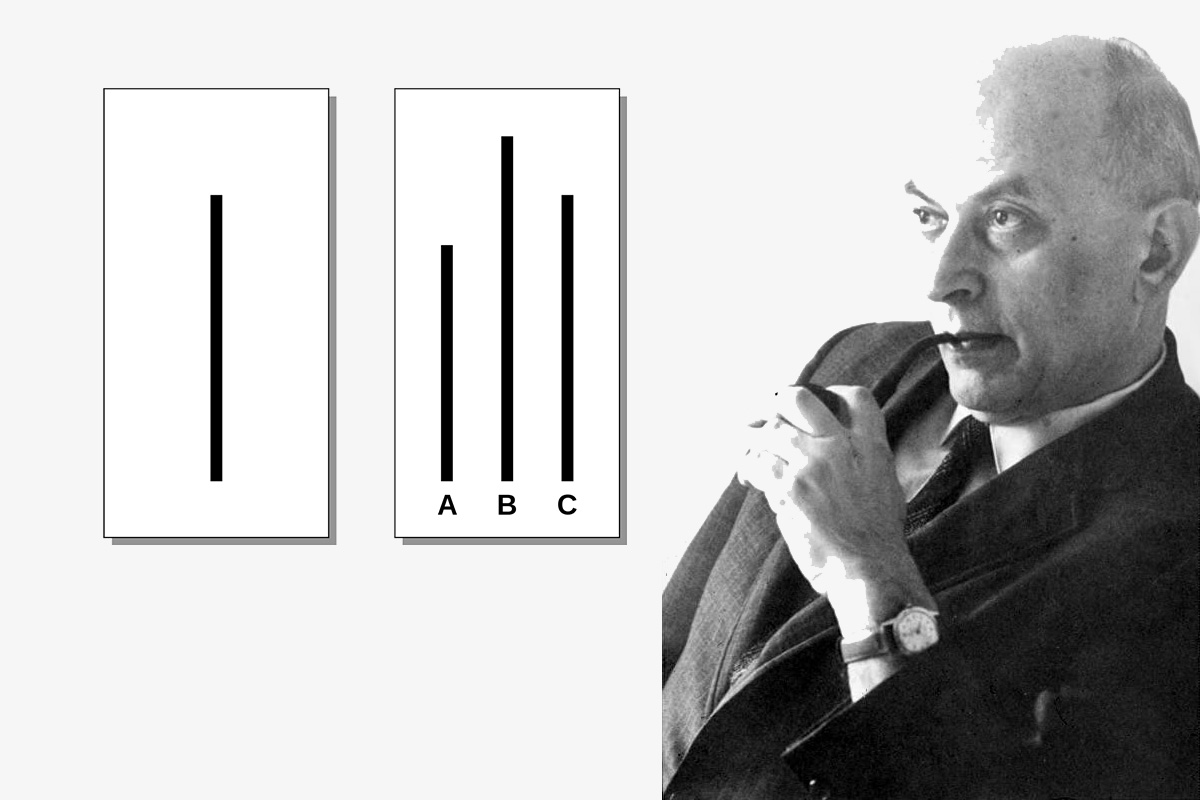 <h3>Hlavně nevyčnívat  </h3><p>V roce 1952 prokázal experiment polsko-amerického psychologa <strong>Solomona Asche</strong>, že lidé přirozeně touží zapadnout do své sociální skupiny a neradi čímkoliv vybočují. Ve studii dodnes považované za pilíř sociální psychologie rozdělil své studenty do pětic a sdělil jim, že se zúčastní pokusu na výzkum vnímání. <strong>Poté jim postupně předkládal 30 dvojic karet s různě dlouhými čarami. Účastníci měli za úkol určit pomocí hlasování, které dvojice jsou shodné.</strong> Záměrně šlo o zcela jednoduchý úkol, ve skutečnosti ale čtyři z každých pěti studentů předem dostali instrukce, aby schválně zvolili chybnou kartu.</p><p><strong>Cílem experimentu bylo zjistit, zda se zbývající nic netušící student nechá zviklat názorem, který sice sám nesdílel, ale očividně jej zastávali všichni ostatní.</strong> Zhruba třetina jich skutečně podlehla tlaku a upozadila vlastní – objektivně správné – přesvědčení; ti, kteří odolali, navíc vykazovali jasné známky, že se necítí příjemně. Základní Aschův experiment byl později v různých obměnách mnohokrát opakován a závěry vždy potvrdily, že tzv. <strong>konformita</strong> (přizpůsobení se většině) hraje důležitou roli při procesu socializace. Vysvětlení je podle vědců jednoduché: Lidem se takové chování vyplácí, neboť ti, kteří nevyčnívají, bývají oblíbenější a často i úspěšnější. <em>(foto: Wikimedia Commons, Fred the Oyster, CC BY-SA 4.0)</em></p>