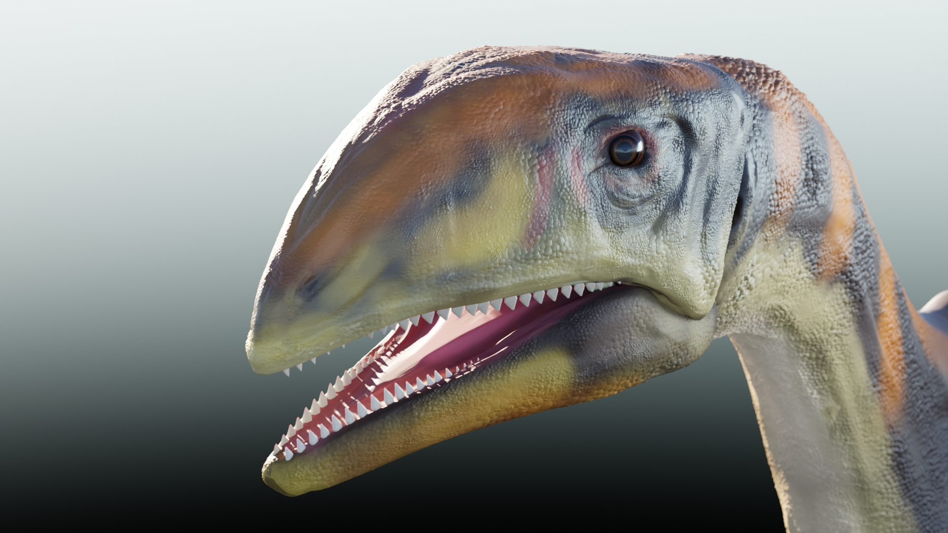 <p>Rekonstrukce hlavy dinosaura <em><strong>Issi saaneq</strong></em>.</p>
