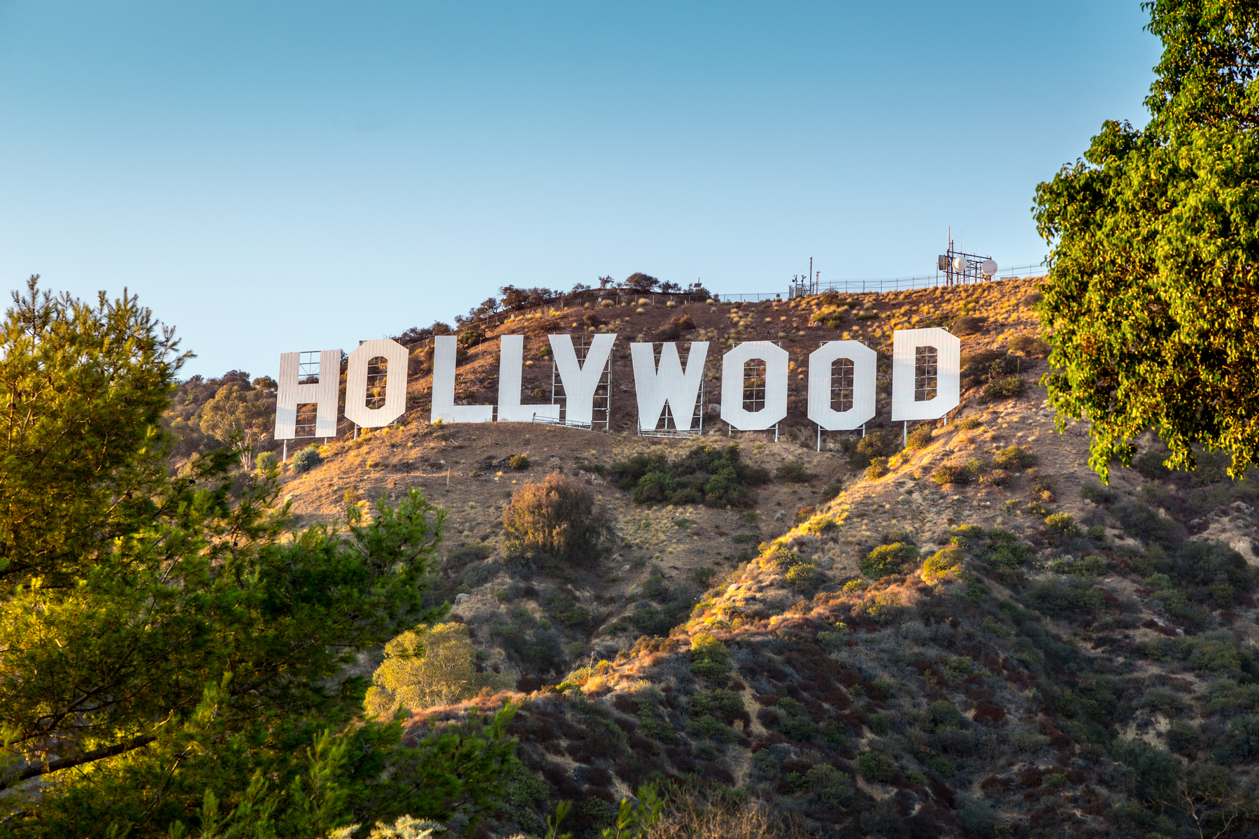 <h3>Hollywood ve skladu</h3><p><strong>nápis Hollywood | konečná suma:</strong> 13,8 milionu korun</p><p>Legendární nápis Hollywood, který se v současnosti tyčí nad Los Angeles, představuje pozměněnou verzi předešlého monumentu: <strong>Poprvé se písmena v kopcích objevila roku 1949 a tvořila slovo „Hollywoodland“.</strong> Chátrající dílo si však časem vyžádalo opravy, a nakonec i kompletní výměnu. Písmena starého nápisu poté za horentní sumy měnila majitele, až skončila v rukou Dana Blisse a ten je v roce 2005 umístil do internetové aukce.<strong> Nápis, který prý čekal 25 let ve skladu, se posléze prodal v přepočtu za 13,8 milionu korun. </strong><em>(foto: Shutterstock)</em></p>
