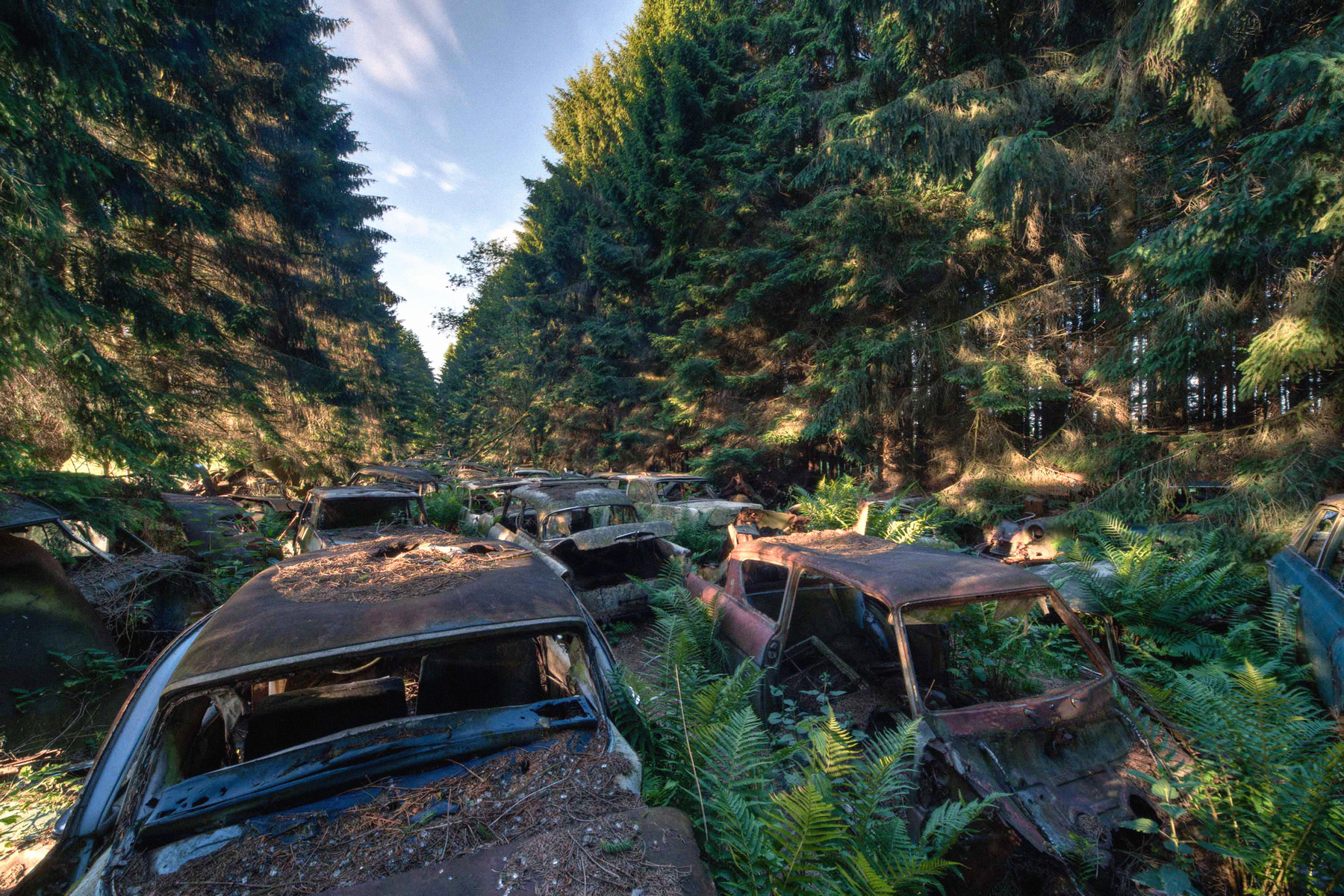 <h3>Pohřebiště veteránů | Belgie</h3><p>O belgickém hřbitově automobilů nedaleko obce <strong>Châtillon</strong> se říká, že jej založila americká armáda za druhé světové války. <strong>Ve skutečnosti jde o vrakoviště kanadského letectva, které v oblasti až do roku 1966 spravovalo vojenskou základnu pod hlavičkou NATO.</strong> V současnosti jsou již vraky každopádně odklizeny a rezavou podívanou připomínají pouze fotografie. Podobná místa, ve kterých si příroda začíná přivlastňovat vraky desítek let starých aut, existují (či existovala) po celém světě. <em>(foto: Profimedia)</em></p>