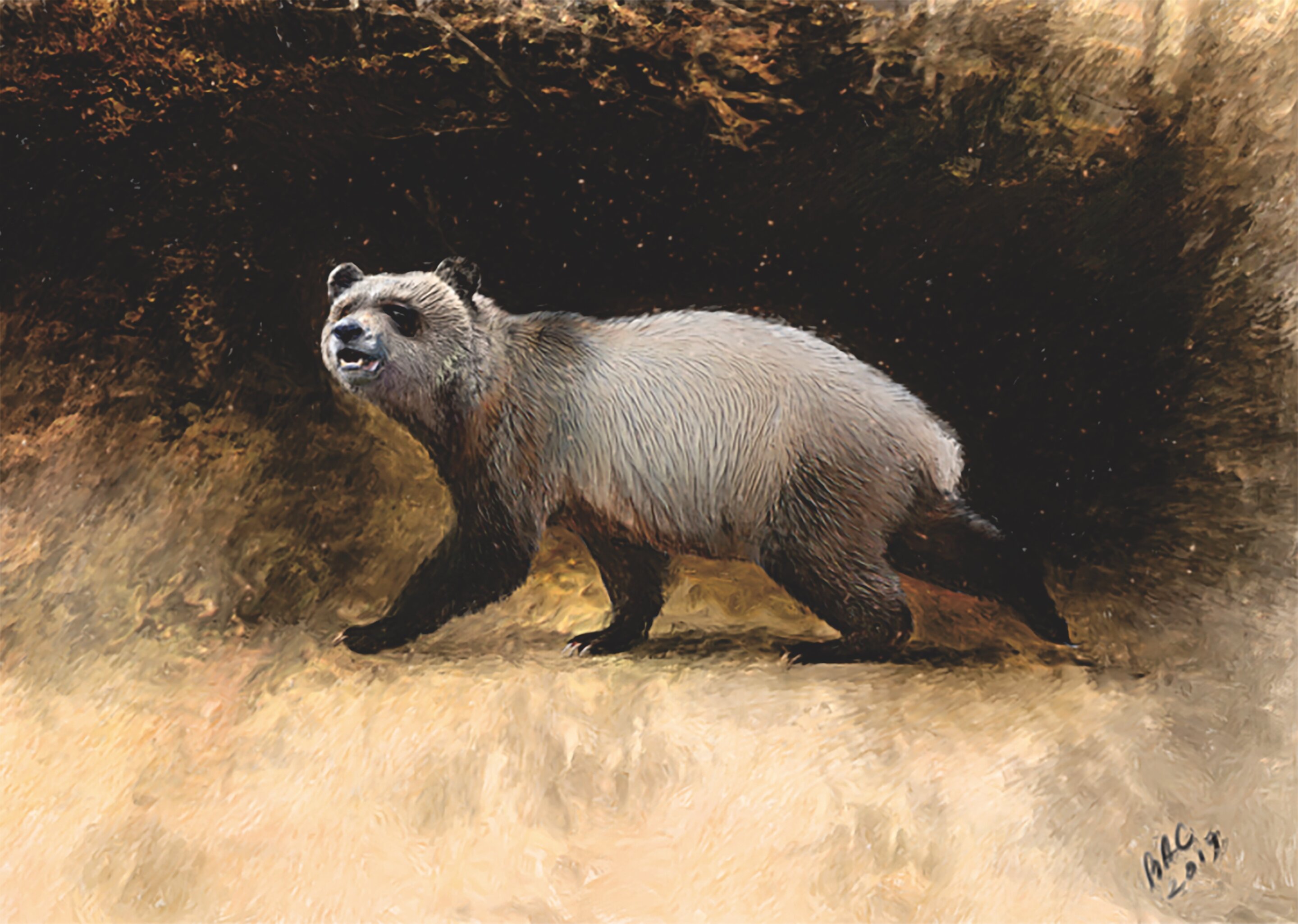 <p>Umělecká představa evropské pandy ze severozápadního Bulharska.<em> (ilustrace: Velizar Simeonovski, CC BY-SA 4.0)</em></p>