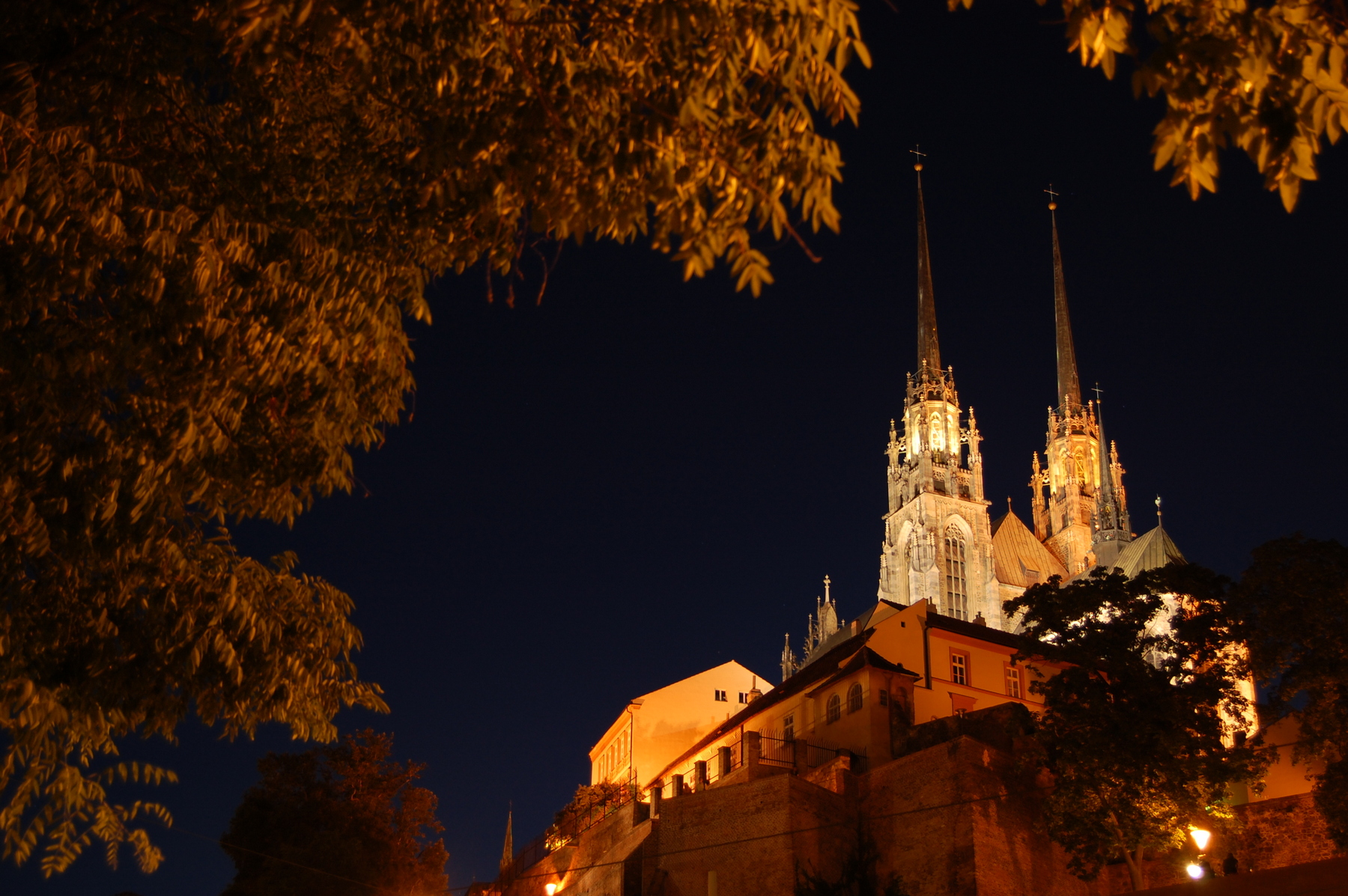 <p>Katedrála svatého Petra a Pavla v Brně. <em>(foto: Wikimedia Commons, Jiří Komárek, CC BY-SA 4.0)</em></p>