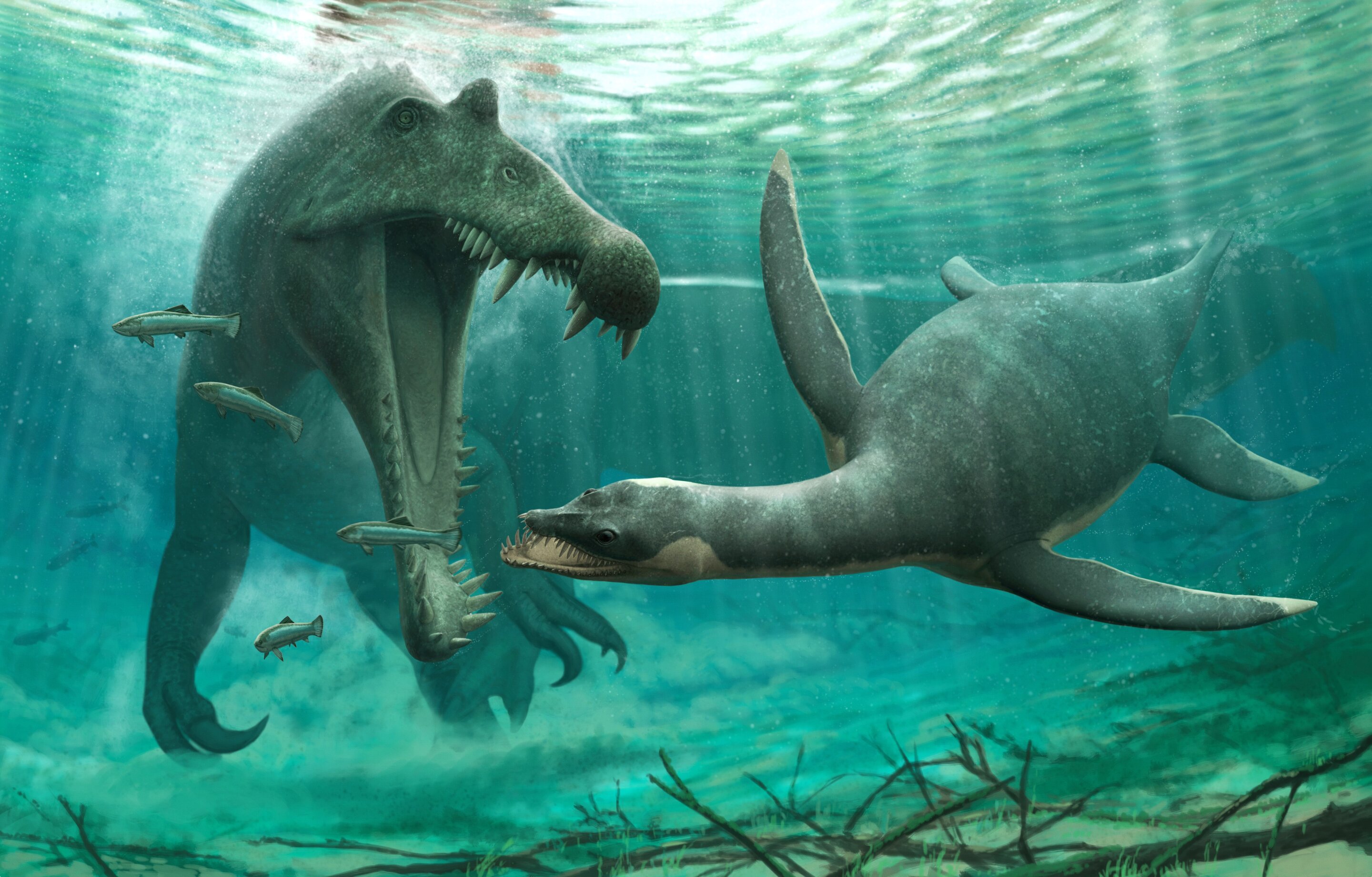 <p>Třímetroví plesiosauři ze Sahary období křídy žili v tehdejších řekách, společně se spinosaury. <em>(ilustrace: University of Bath, CC BY 4.0)</em></p>