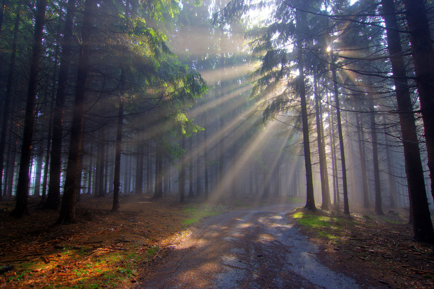 <p>Kdyby si každý z nás našel trochu času na přírodu, úspory ve zdravotnictví by byly enormní. <em>(foto: Shutterstock)</em></p>