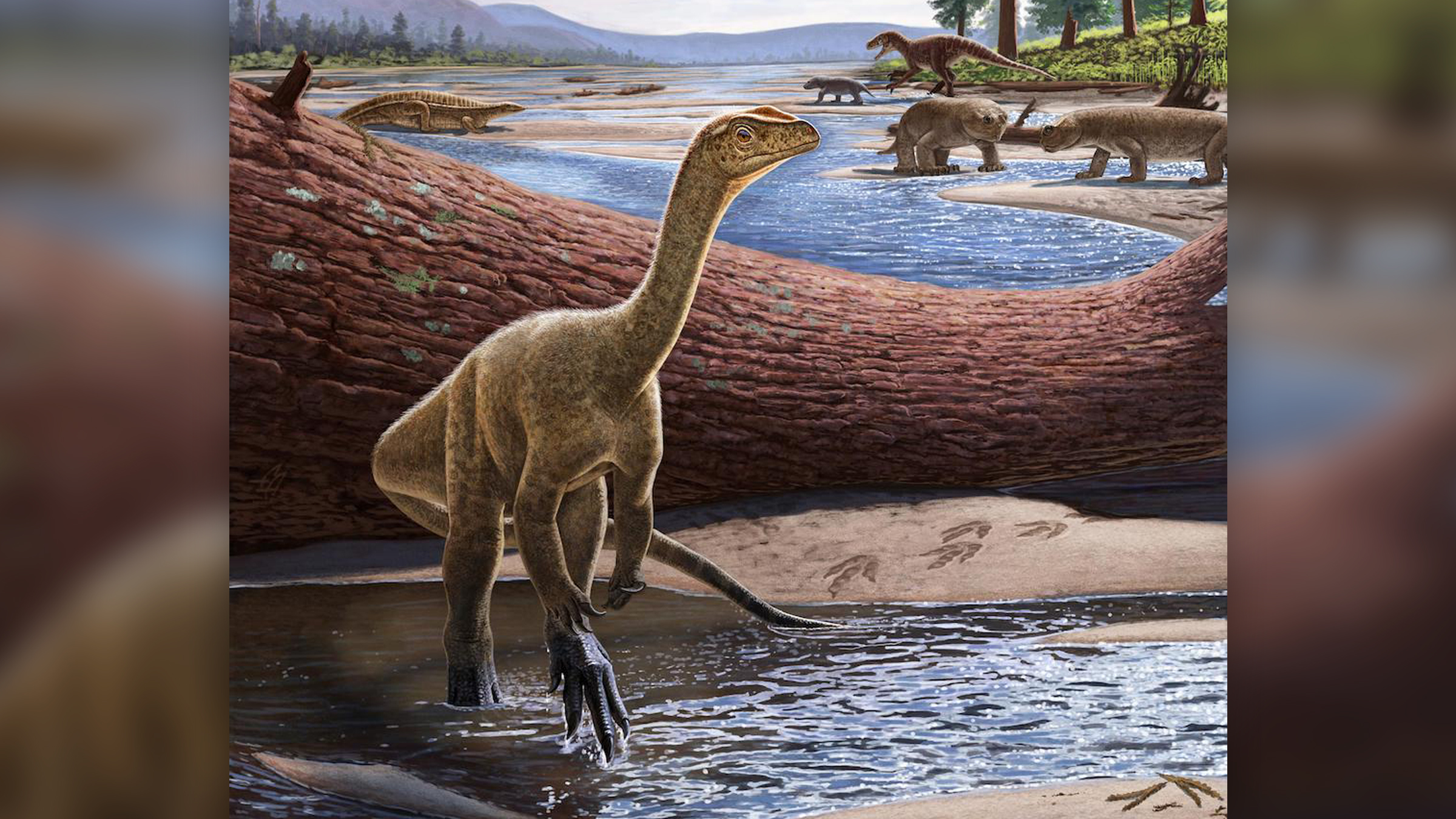 <p>Mbiresaurus raathi v krajině období triasu</p>