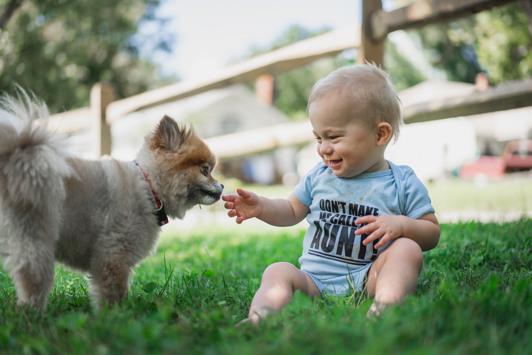 <p>Rodiče při výběru jména pro své dítě nevědomky kopírují společenské trendy. Totéž platí i pro pejskaře. <em>(foto: Unsplash, Zachary Kadolph, CC0)</em></p>