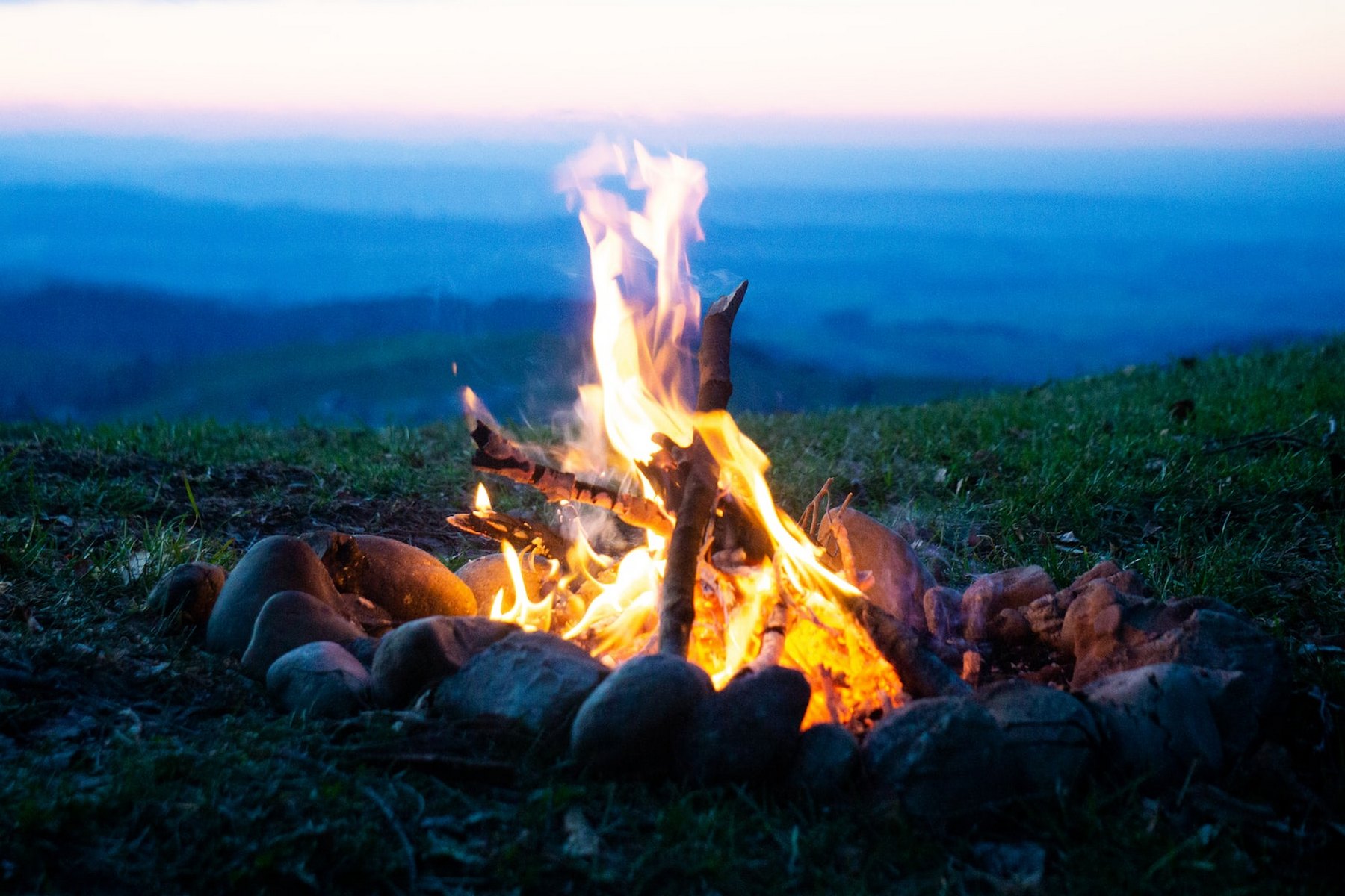 <p>Ve vrstvě sedimentu z doby před asi 780 tisíci let vědci objevili pozůstatky kaprovitých ryb, které nesou stopy po ohni.<em> (ilustrační foto: Unsplash, Timon Wanner, CC0)</em></p>