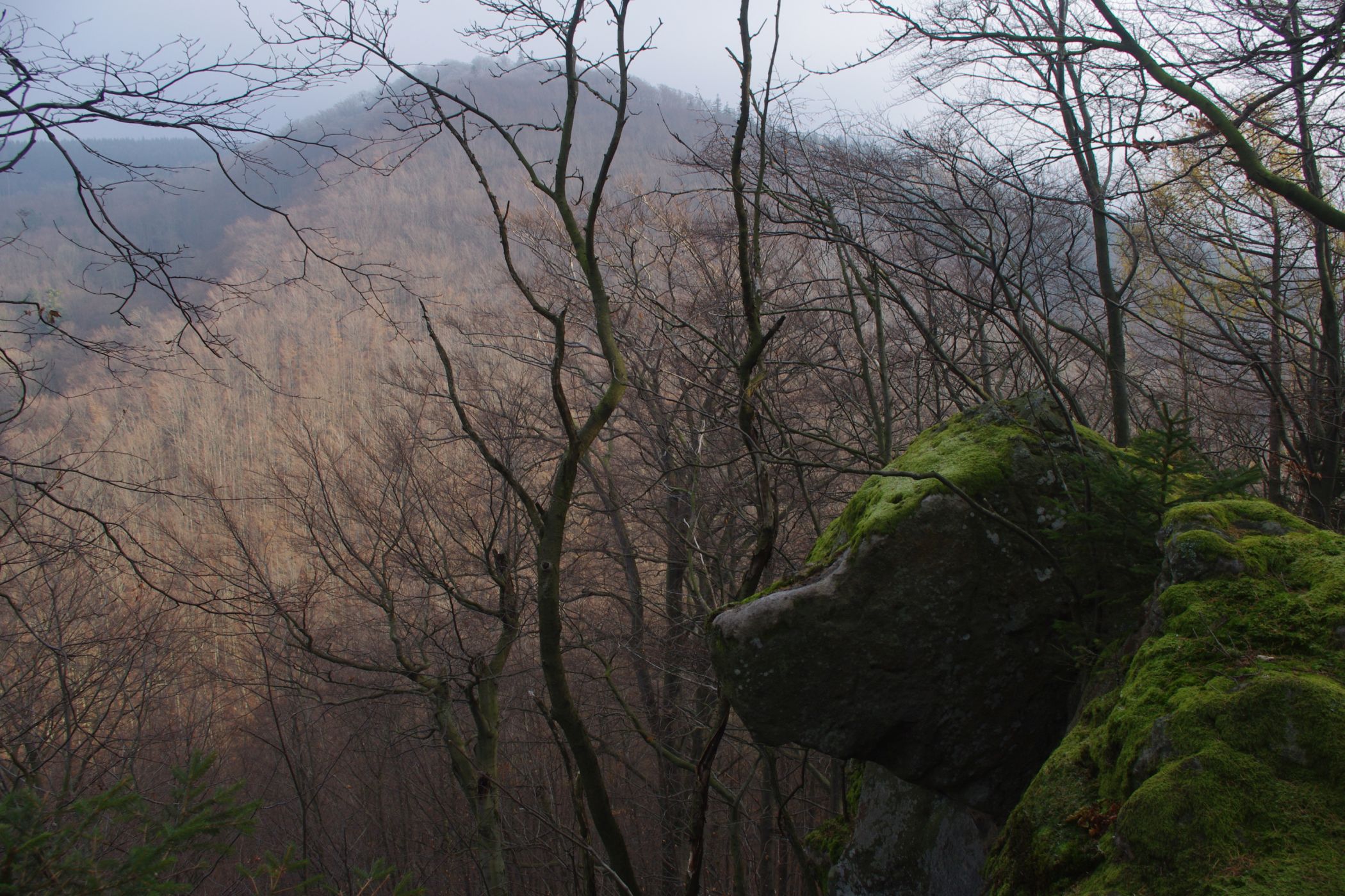 <p>Medvědí hlava na Bludném, v pozadí vrch Smrdutá.<em> (foto: Martin Janoška - se souhlasem k publikování)</em></p>