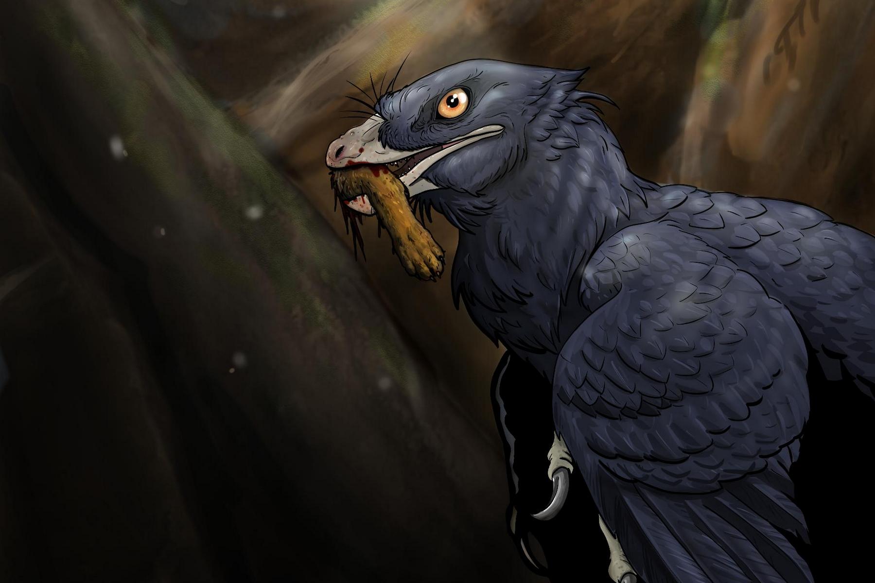 <p><em>Microraptor zhaoianus</em> se savčí svačinkou. <em>(ilustrace: University of Alberta, Ralph Attanasia, CC BY-SA 4.0)</em></p>