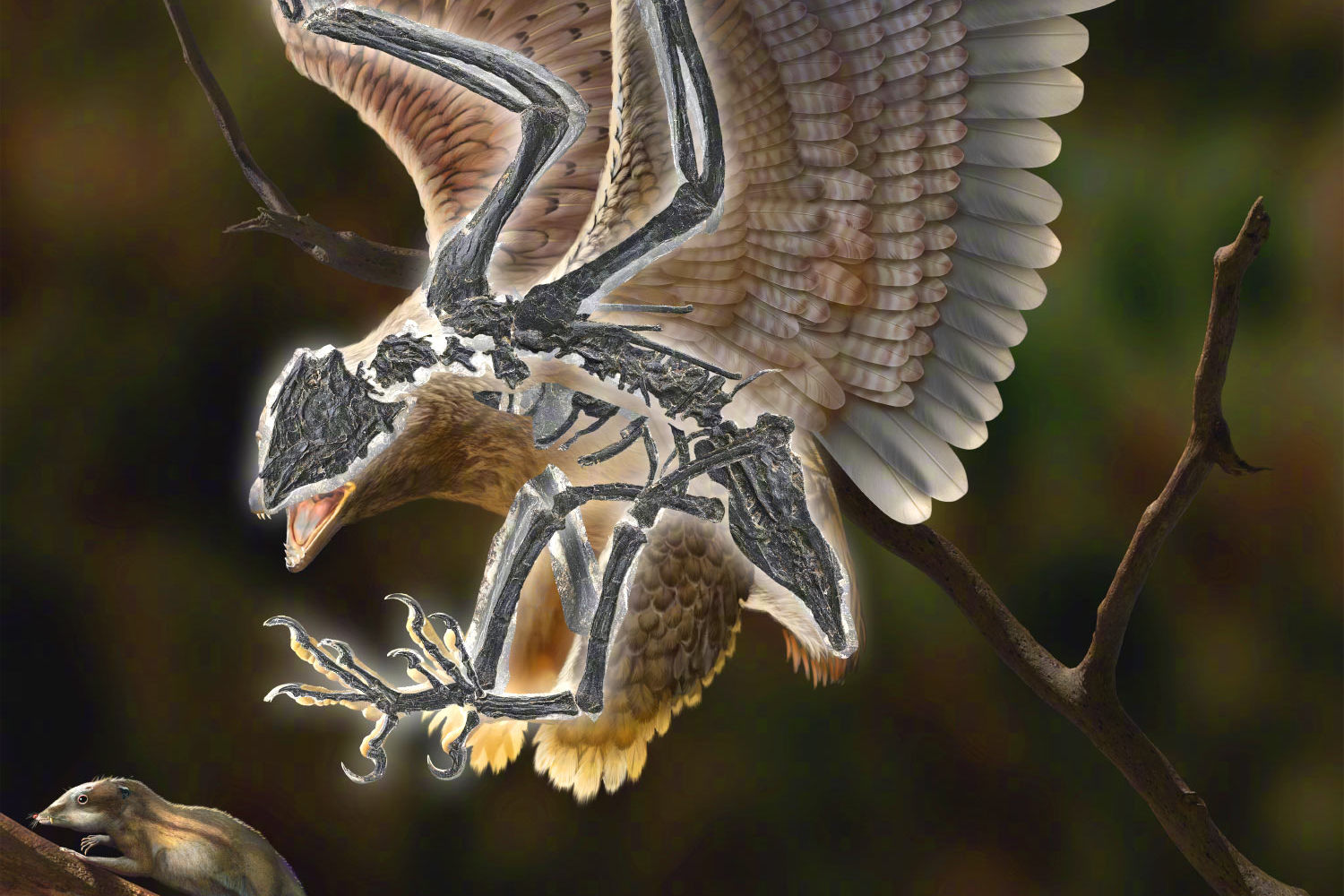 <p>Rekonstrukce 120 milionů let starého ptáka Cratonavis zhui.<em> (ilustrace: Zhao Chuang, CC BY 4.0)</em></p>