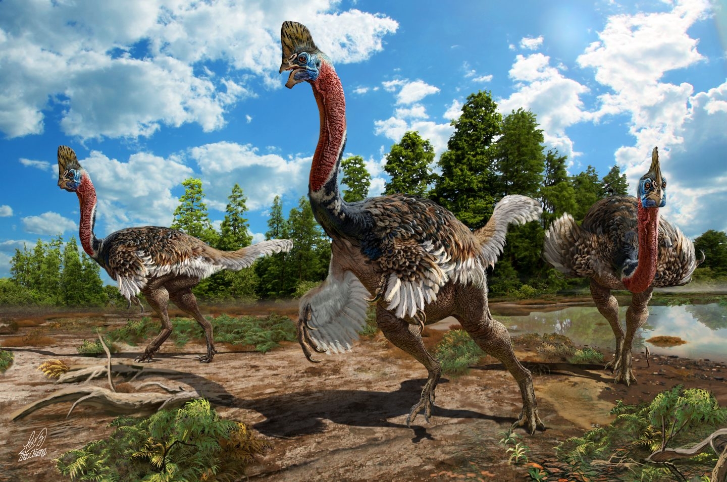 Corythoraptor -<p>Nový dinosaurus z Číny je jako dvojník kasuára</p>