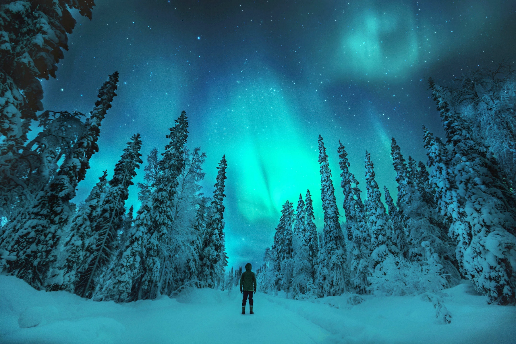 <p>Polární záře oblohu rozsvítí neonovým světlem. V Laponsku je lze pozorovat hlavně v zimě. <em>(foto: Shutterstock)</em></p>