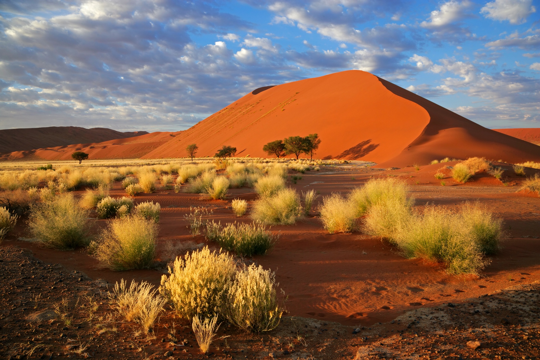 Poušť Namib -<p>Duny v poušti Namib, ležící na místě zvaném Sossusvlei, patří k nejvyšším na světě.</p>