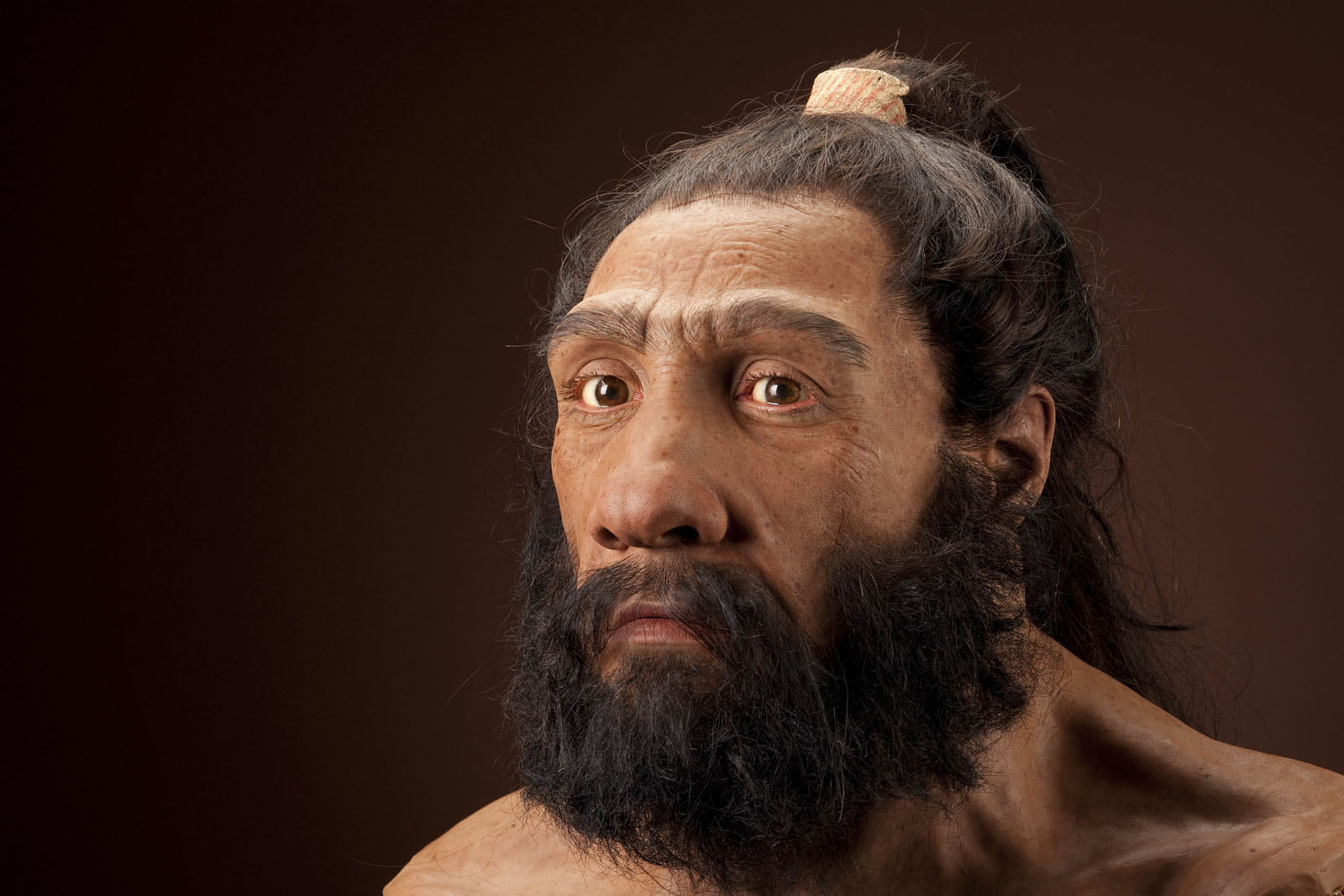 <p>Podle nových výzkumů nebyli neandertálci v jídle příliš vybíraví</p>