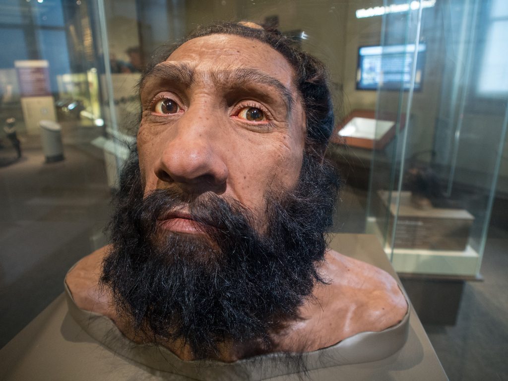 Během času přicházíme o geny, které původně pocházejí z neandertálců