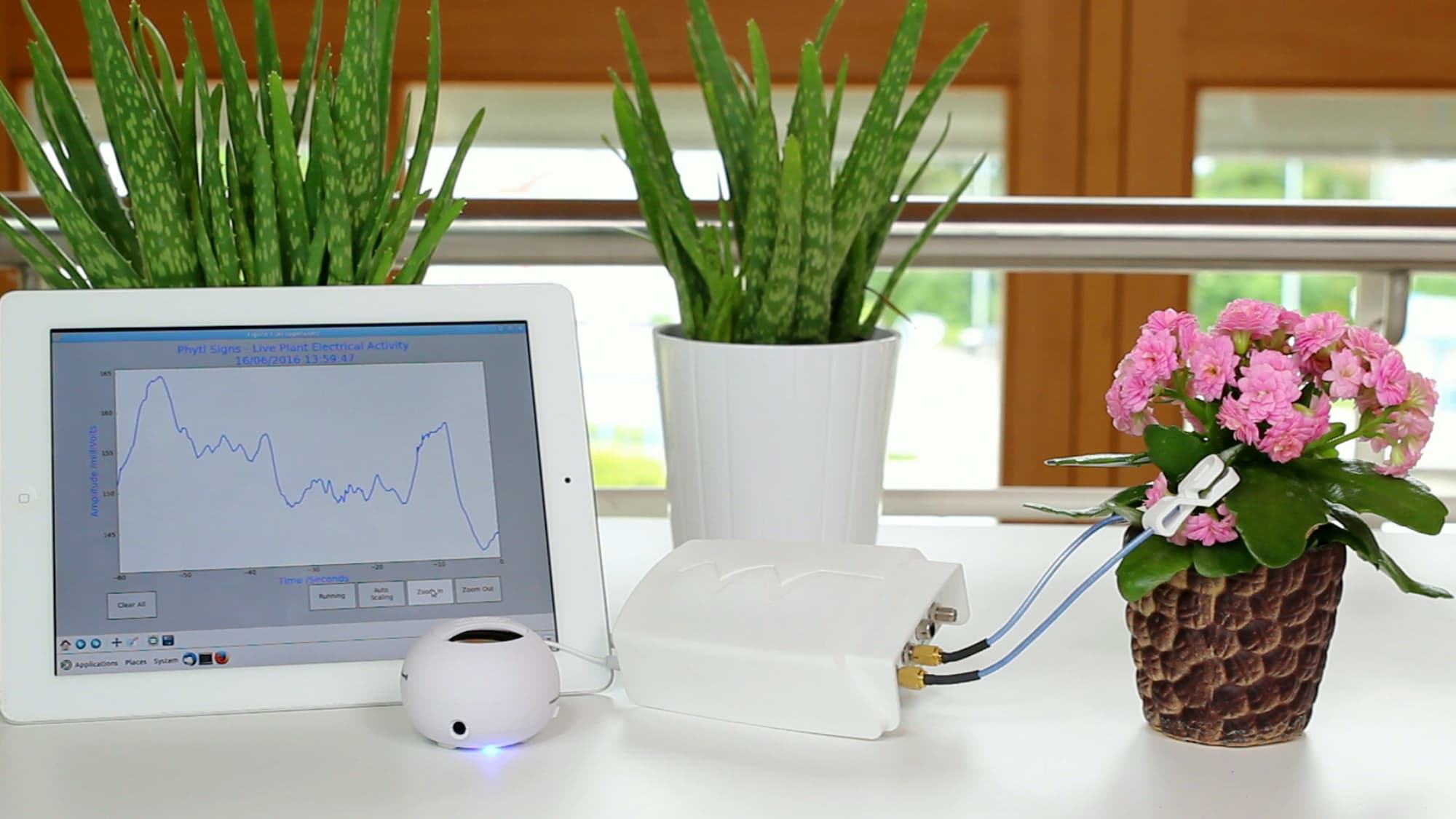 Phytl Signs - 
