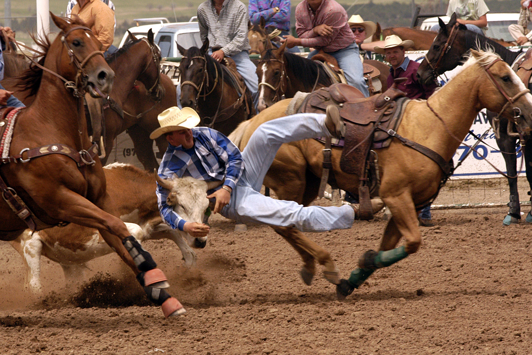 <p>Soutěžní rodeo se oficiálně zrodilo v Texasu v roce 1883.<em> (foto: Shutterstock)</em></p>